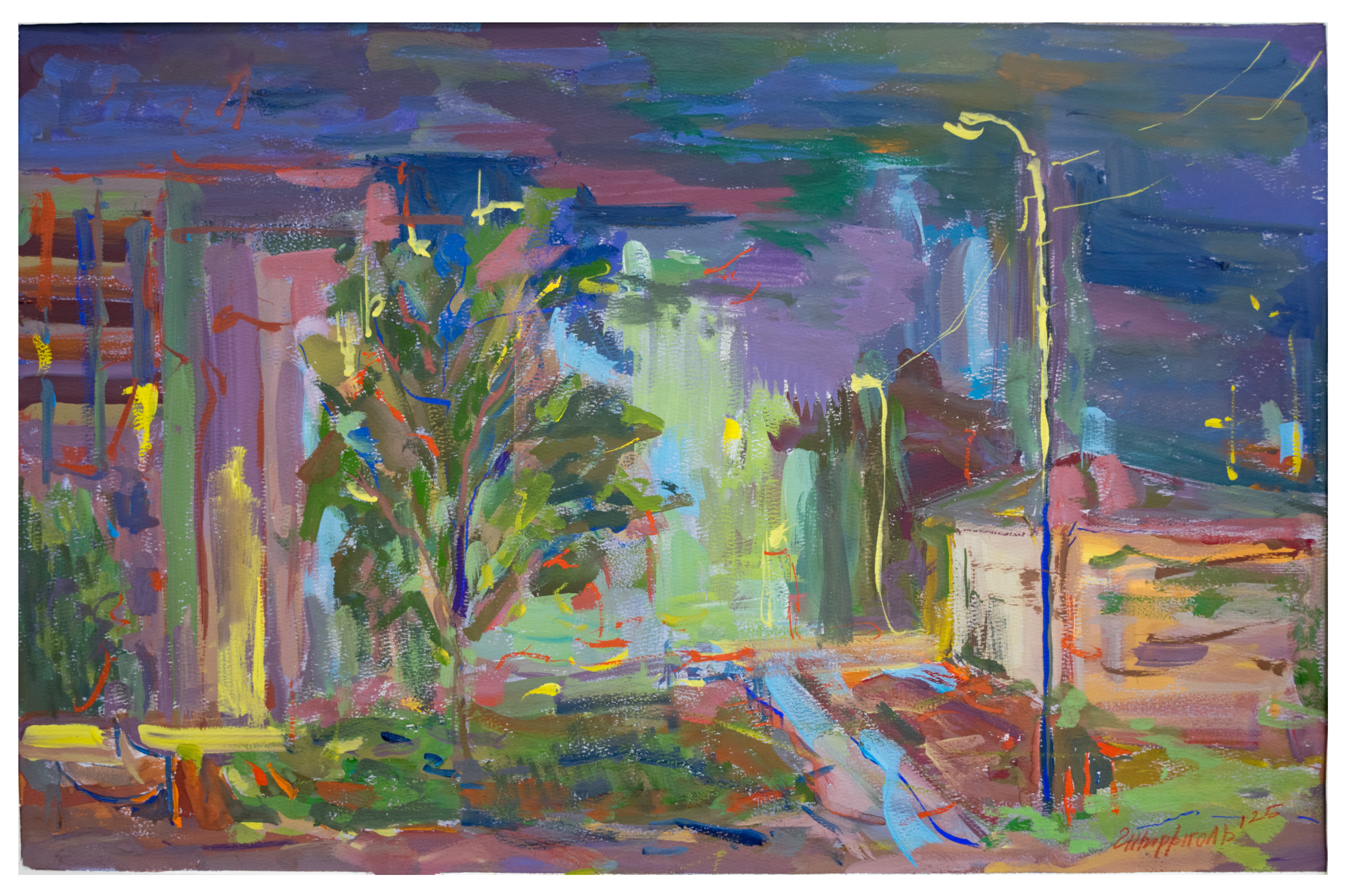 DSC 0003