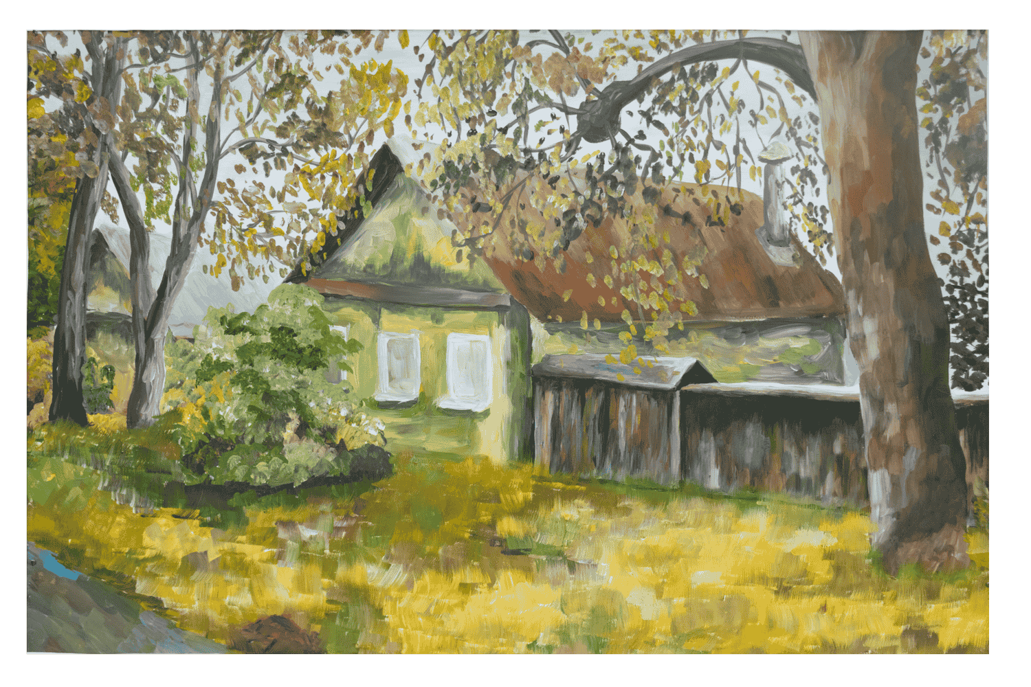 DSC 0009