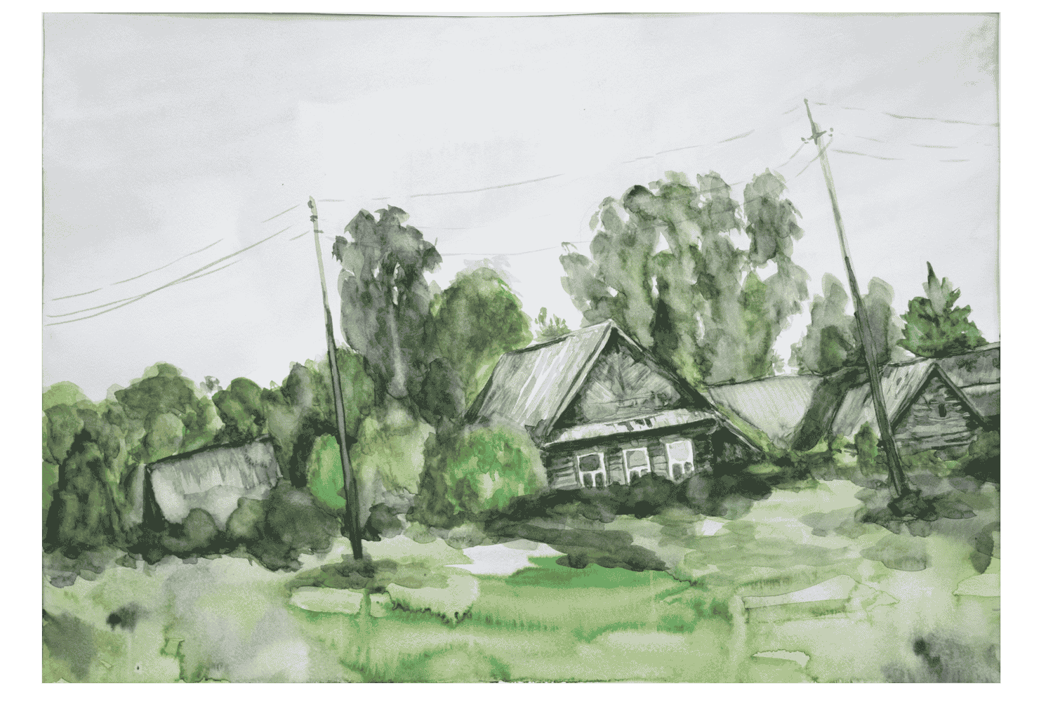 DSC 0017