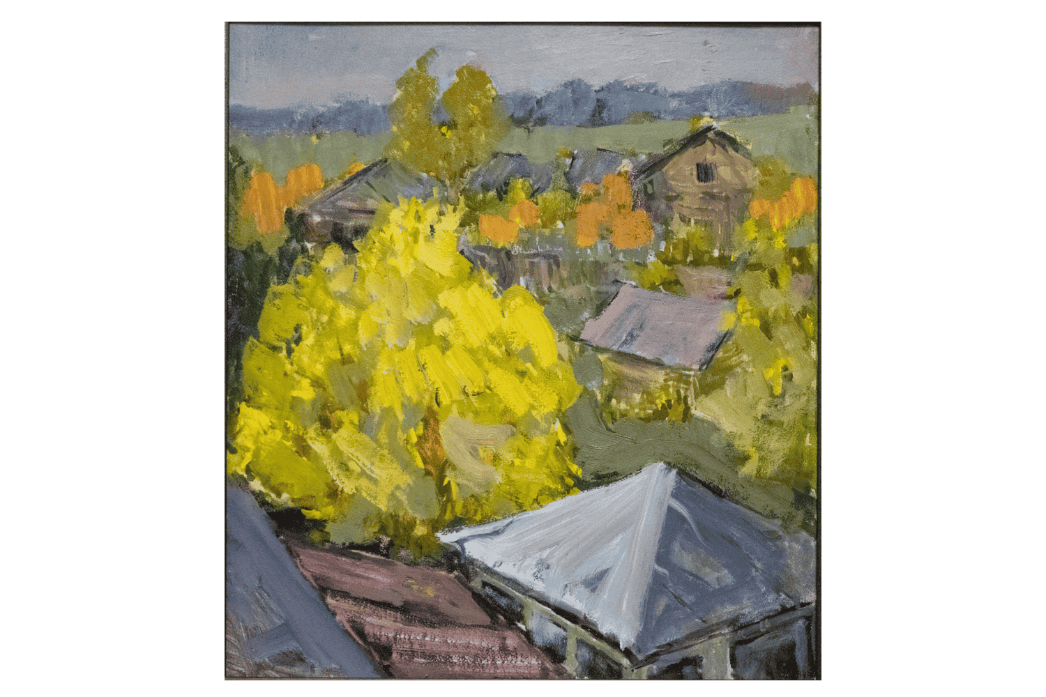 DSC 0012