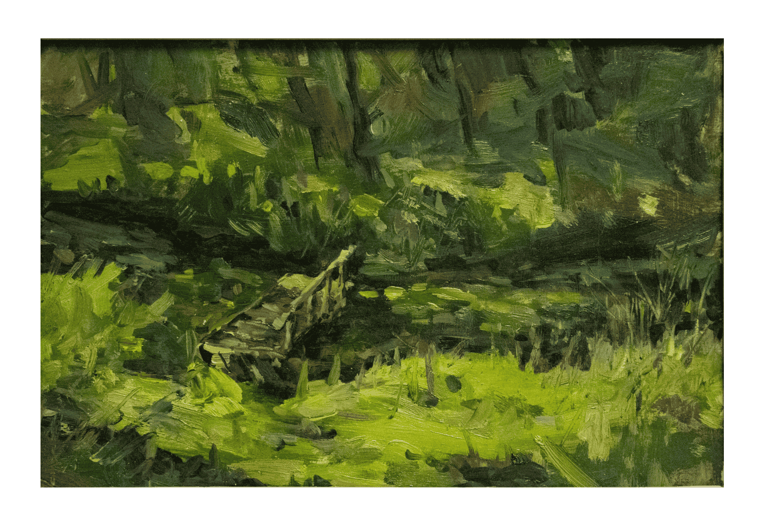 DSC 0019