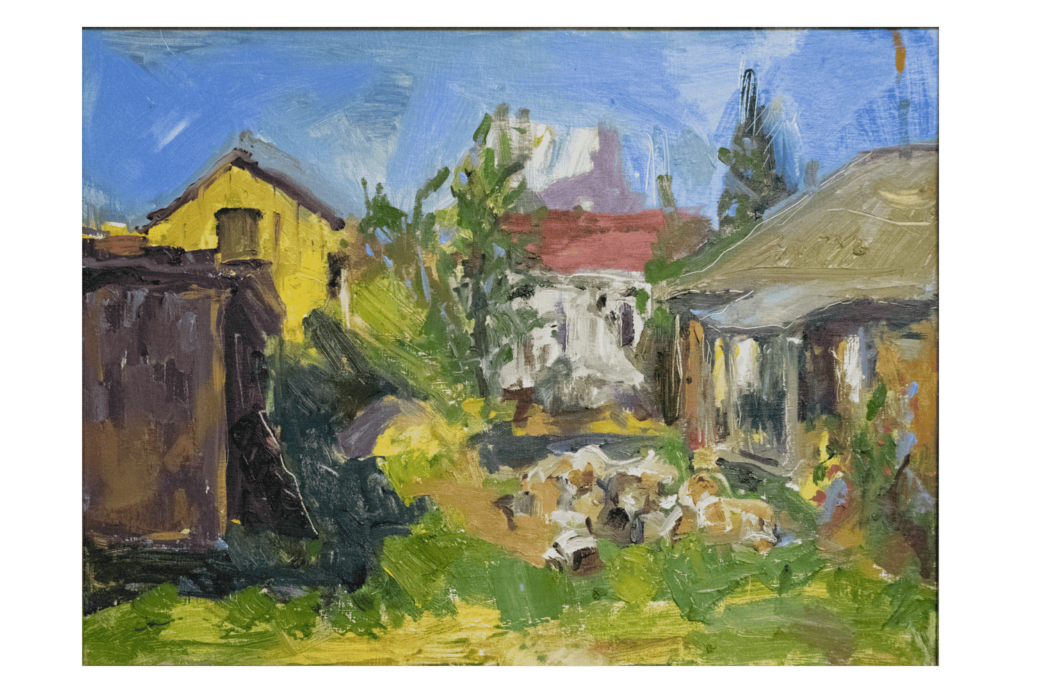 DSC 0020