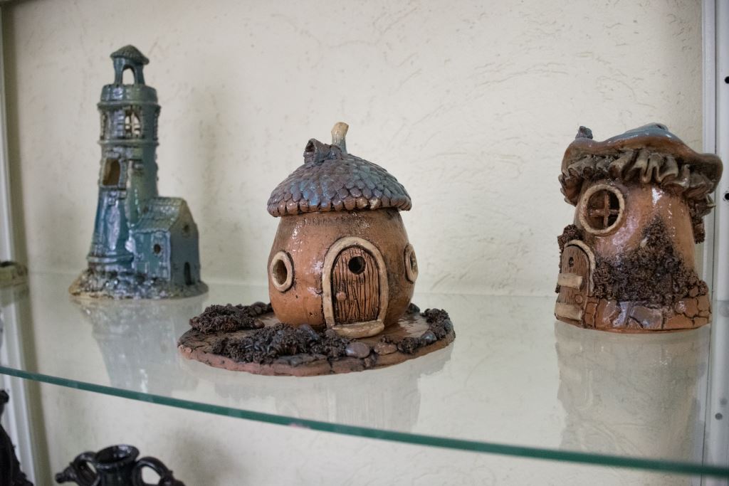 DSC 0010