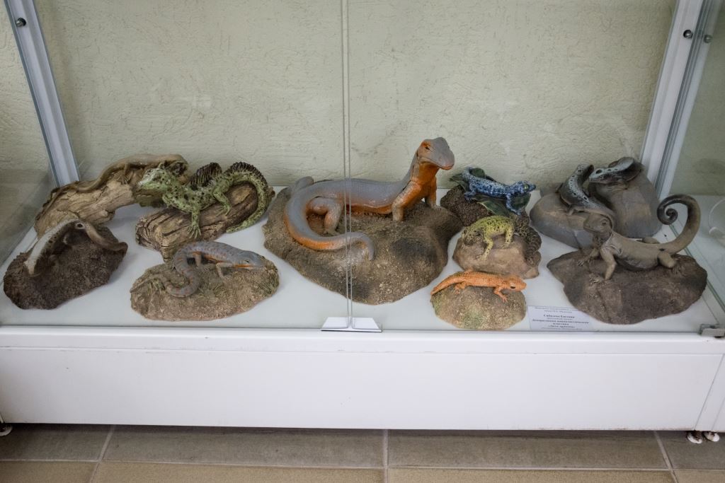 DSC 0080