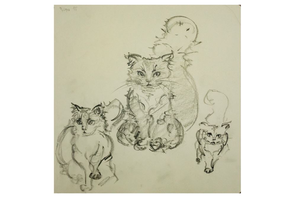 DSC 0017